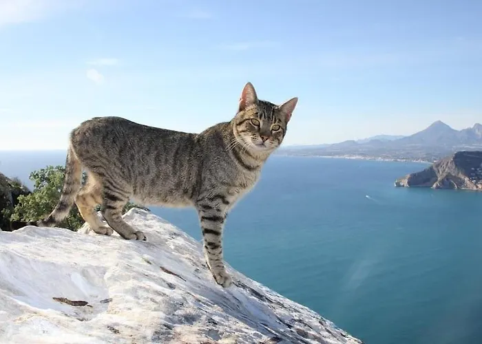 Sanlio - Plusholidays *